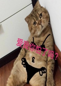 ��������С�ڻ�