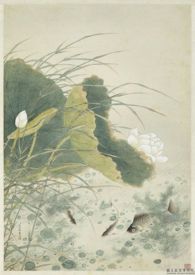 �������ʵ��